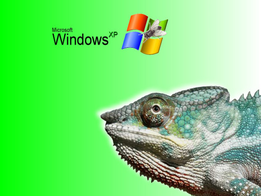 383369 (a): :1024x768